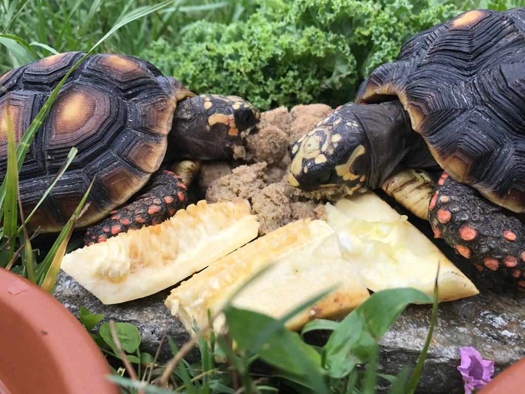 7B2ACA9E-BEB8-4989-B582-A790FE4207B6