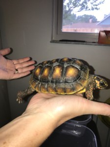 85D065DF-2BBE-4B5A-A2E7-AAB070A997A8