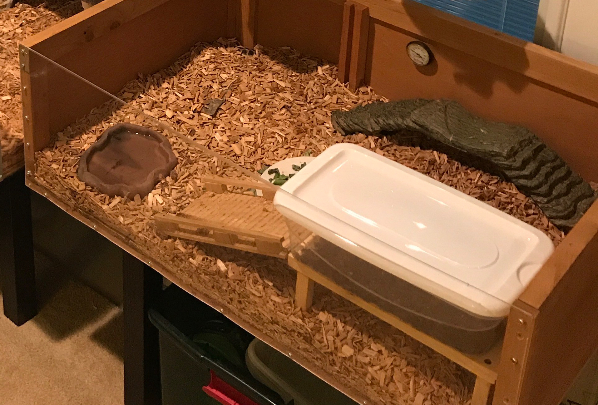 C305DCA7-2358-4596-B044-C1F7B33F3104